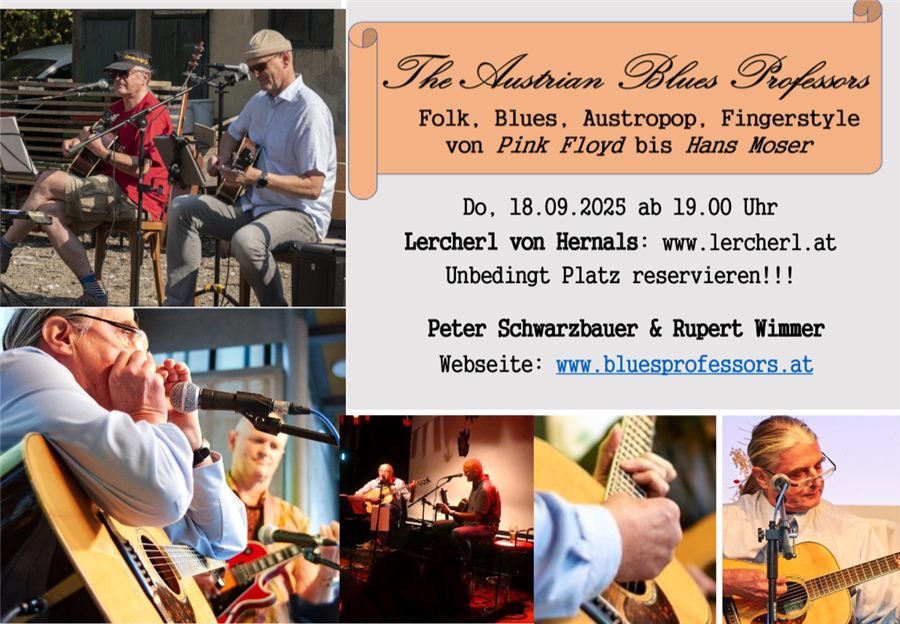 The Austrian Blues Professors